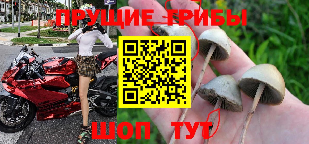 Моздок  Псилоцибиновые грибы Magic Shrooms  Вход с VPN 
