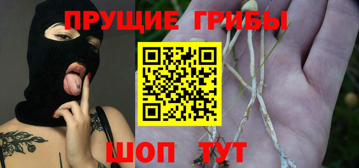 Галлюциногенные грибы MAGIC MUSHROOMS Моздок